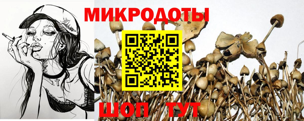 Среднеуральск  наркота  Вход с VPN  Галлюциногенные грибы мицелий 