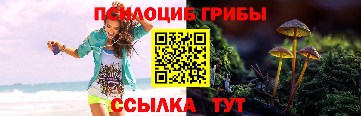 Псилоцибиновые грибы прущие грибы Среднеуральск